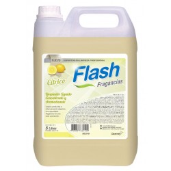 Limpiador Desodorante Flash...